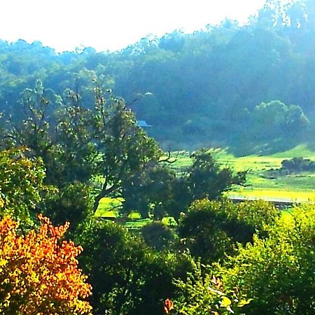 Brookvale House Balingup Guest House Luaran gambar