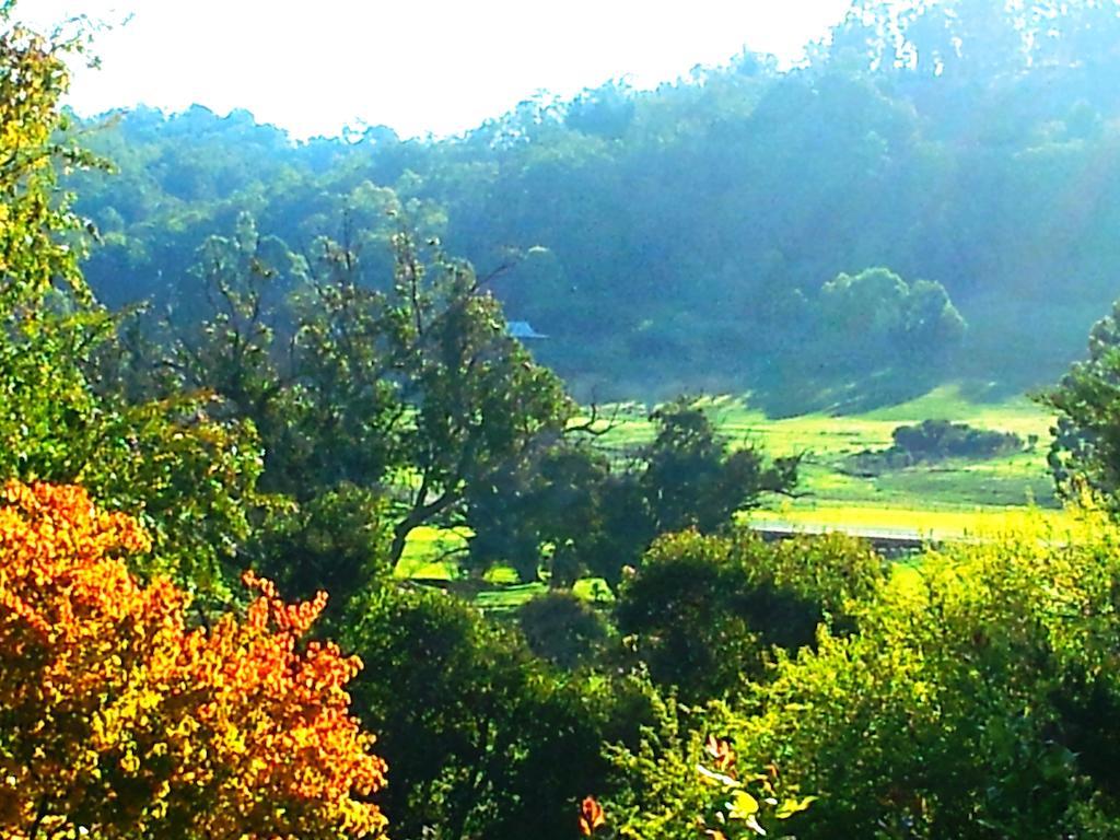 Brookvale House Balingup Guest House Luaran gambar